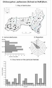 Attēlu rezultāti vaicājumam “Cladopodiella francisci”