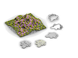 Attēlu rezultāti vaicājumam “Physarum contextum sessile”