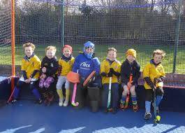 Image result for Thirsk Hockey Club