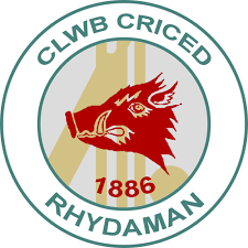 Image result for Ammanford Cricket Club