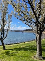 Image result for Dalgety Bay Bowling Club