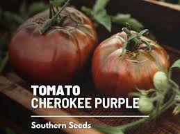 Afbeeldingsresultaat voor dark purple beefsteak tomato