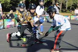 Image result for York University Street Hockey Club