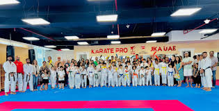 Image result for Professional  Martial Arts Academy