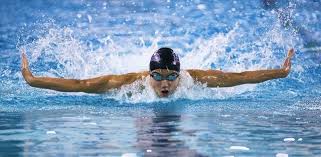 Image result for Maxwell Swimming Club