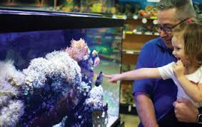 Image result for The Lancaster Fish