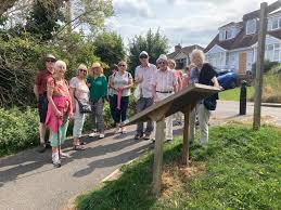 Image result for Great Baddow Cricket Club