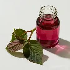 Attēlu rezultāti vaicājumam “Lithospermum officinale”