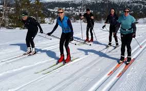 Image result for Tyneside Loipers