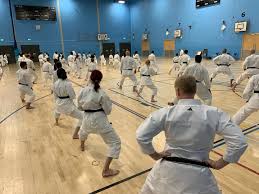 Image result for Waltham Abbey Shotokan Karate Club