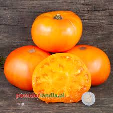 Afbeeldingsresultaat voor amana orange beefsteak tomato