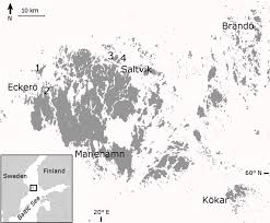 Attēlu rezultāti vaicājumam “Cribraria intricata”