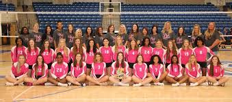 Image result for Pink Ladies Netball Club