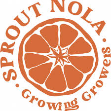 Attēlu rezultāti vaicājumam “Nola sp.”