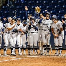 Image result for Lions Softball Club