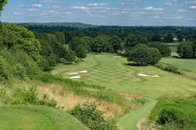 Image result for Betchworth Park Golf Club