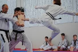 Image result for Springwood Karate