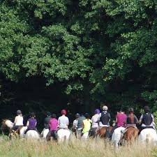Image result for Thames Valley Riding Club