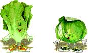 Blog de timoin : Timoin Fleur d'oranger, Eur�ka !!!