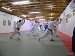 Image result for Goryukai Aikido Yoshinkan (Chichester)