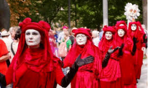 Image result for Reddish Rebels