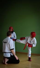 Image result for Bytomic Tae Kwon Do Beaconsfield