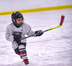 Image result for Norton Cyclones Skater Hockey Club