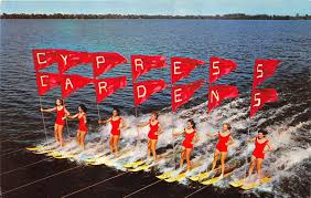 Image result for Charlies Water Skiing