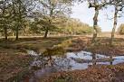 The animal crossing place, which was beyond the trees on the right and - via Daymix