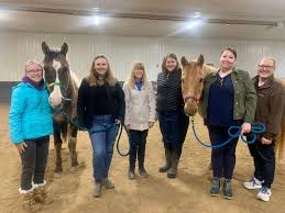 Image result for Shey Copse Riding Centre