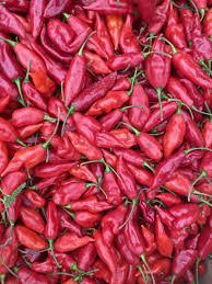 Afbeeldingsresultaat voor paper lantern hot pepper