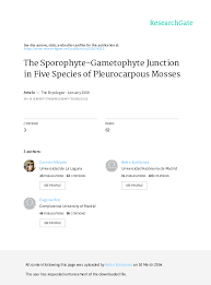 Attēlu rezultāti vaicājumam “Isothecium myosuroides sporophyte”