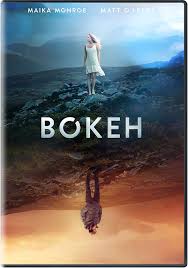 Image result for bokeh
