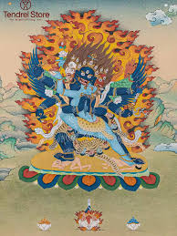 Attēlu rezultāti vaicājumam “Badhamia bethelii stalked”