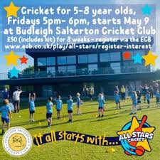 Image result for Budleigh Salterton Cricket Club