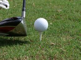 Image result for Arscott Golf Club