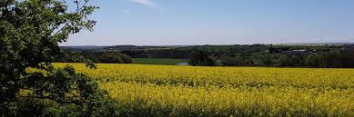 Image result for Barwick In Elmet Cricket Club