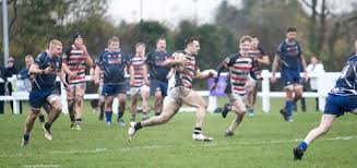 Image result for Novocastrians Rugby Football Club
