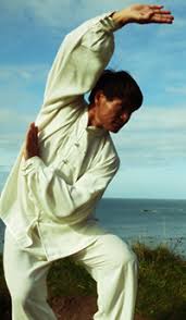 Image result for WUQI KUNG FU AND HEALTH SOCIETY