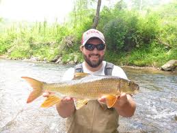 Image result for Moxostoma duquesnei