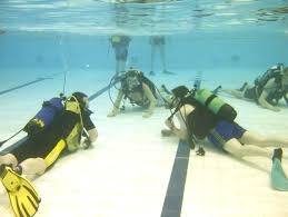 Image result for Eltham and District Sub Aqua Club