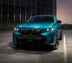 Image result for BMW X6