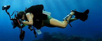 Image result for London Hellfins