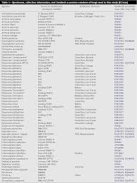 Attēlu rezultāti vaicājumam “Athelia pyriformis”