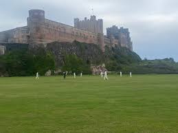 Image result for Consett & District Cricket Club