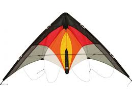 Image result for Kite Ireland