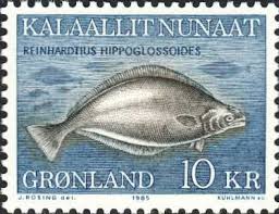 Image result for Reinhardtius hippoglossoides