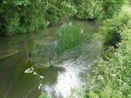 Image result for Bathampton Angling Association