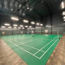 Image result for Raglan Eagles Senior Badminton Club