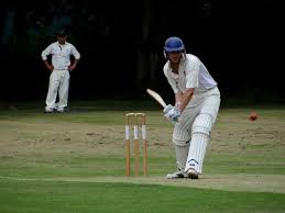 Image result for Broadbridge Heath Cricket Club